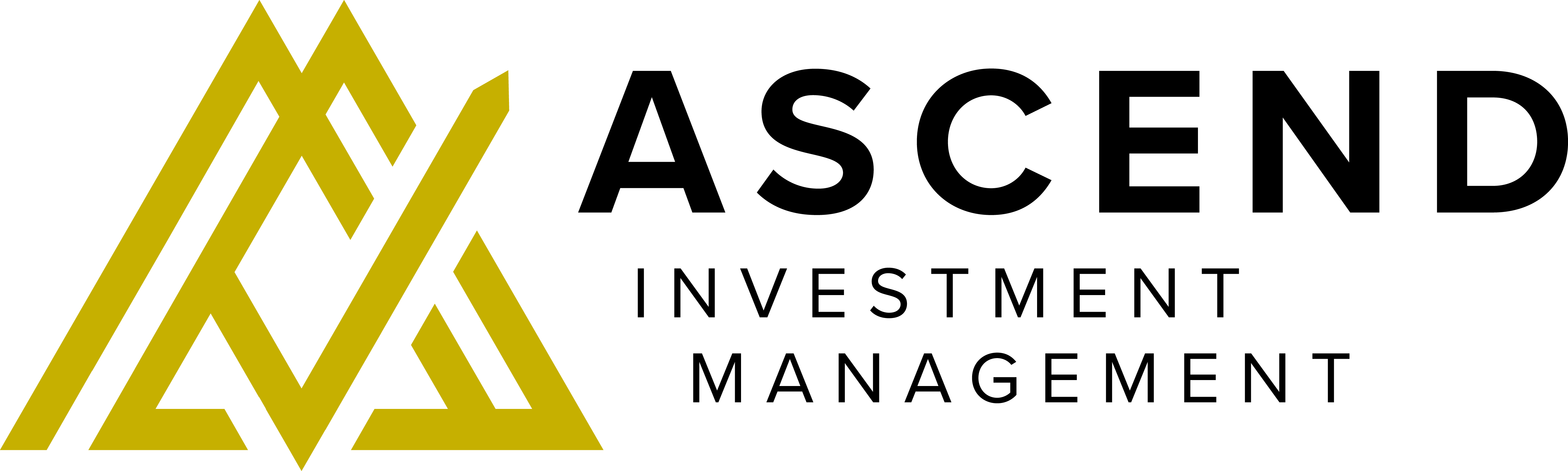 Ascend Investment Management